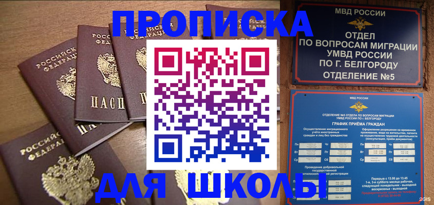 прописка гарантия в Хвалынске
